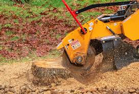 Best Tree Mulching  in Lac Du Flambeau, WI